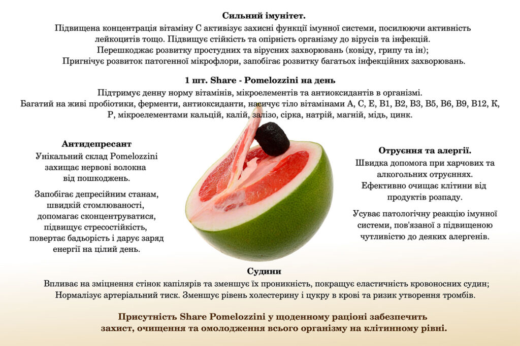 Share | Original Ukraine | Share Original Ukraine